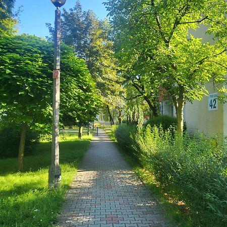Przytulne Mieszkanie Wola Duchacka Daire Krakow Dış mekan fotoğraf