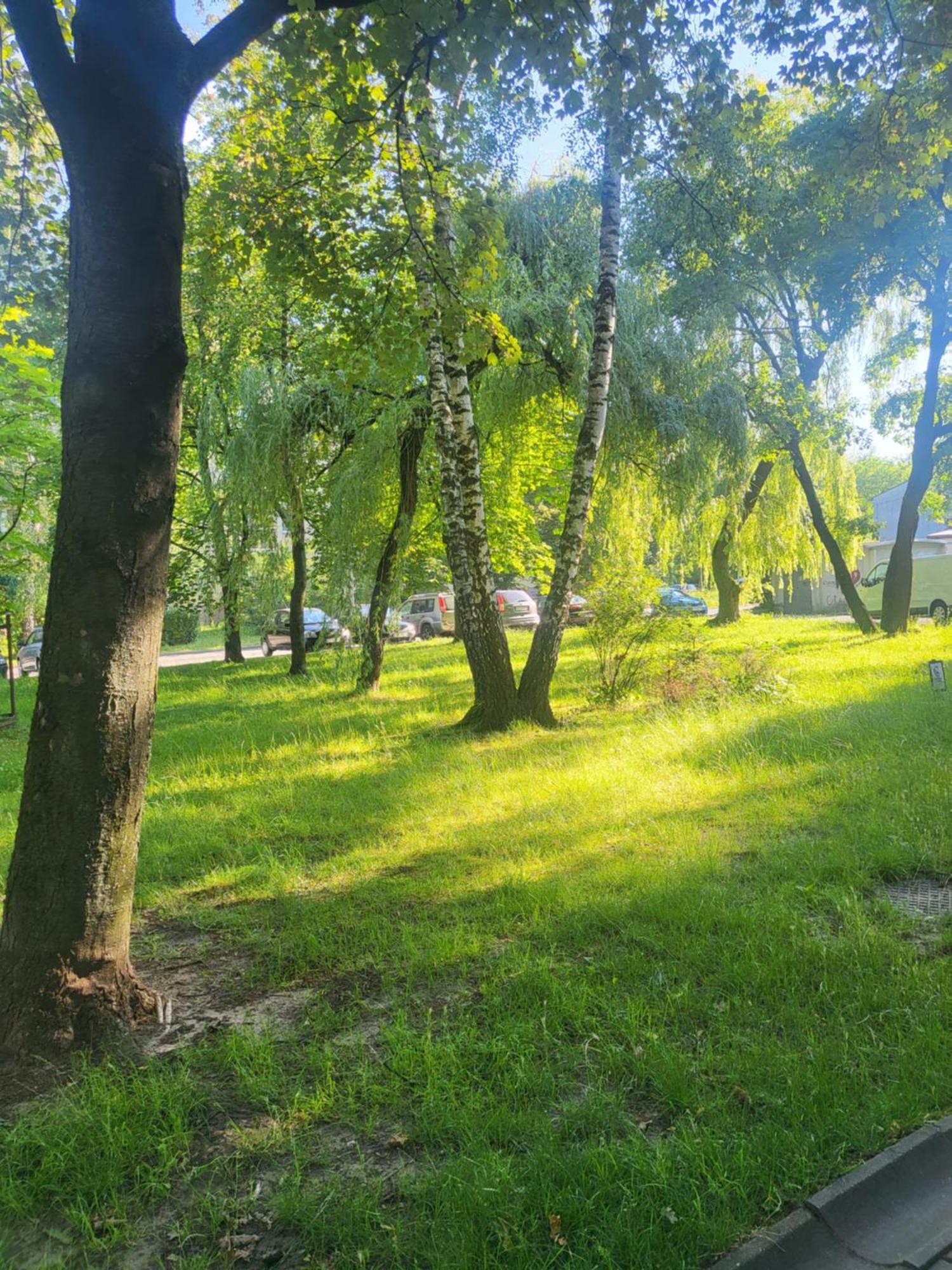 Przytulne Mieszkanie Wola Duchacka Daire Krakow Dış mekan fotoğraf