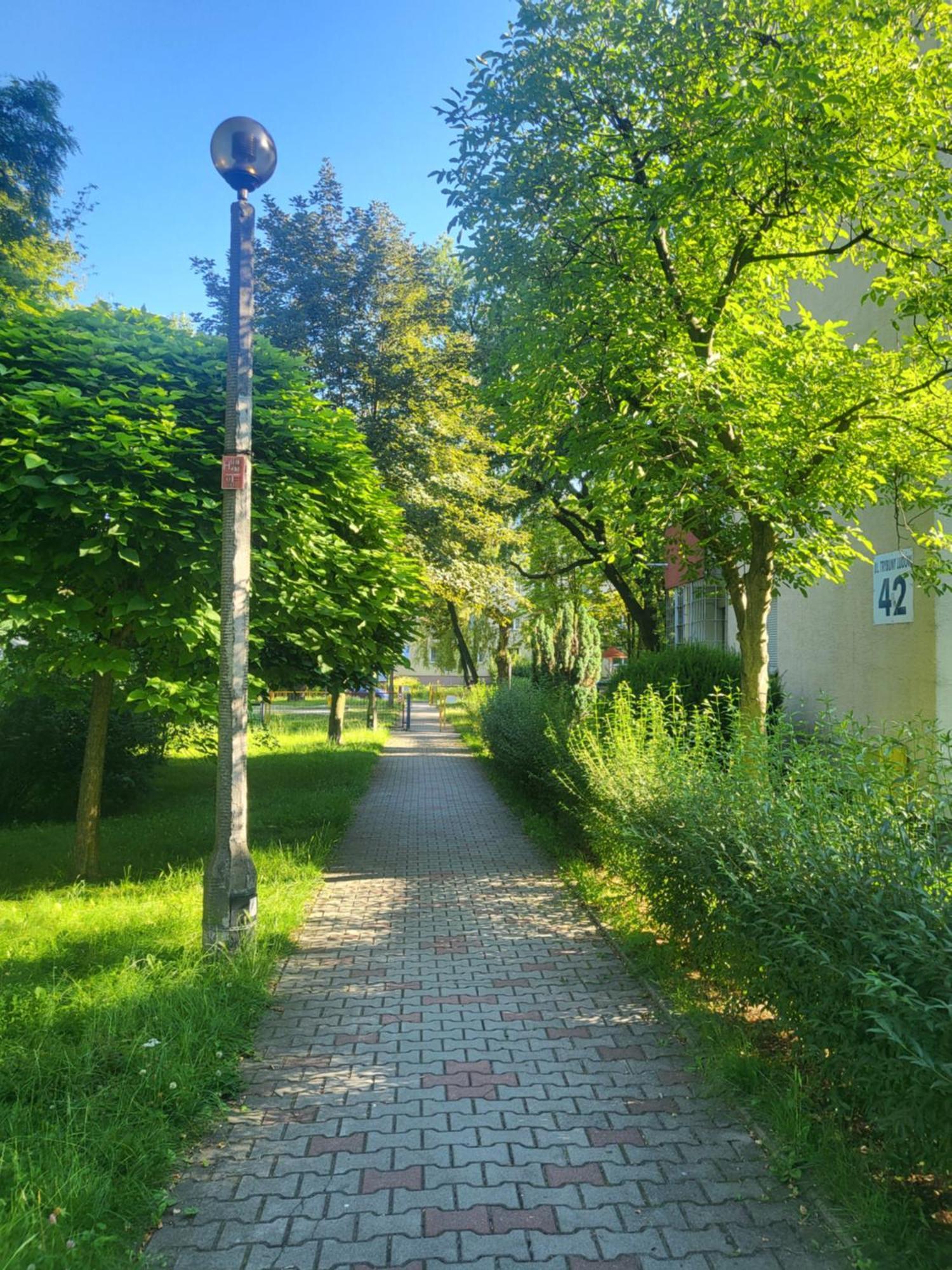 Przytulne Mieszkanie Wola Duchacka Daire Krakow Dış mekan fotoğraf